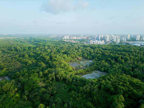 Ouvrir un compte en ligne sans dépôt : guide simplifié