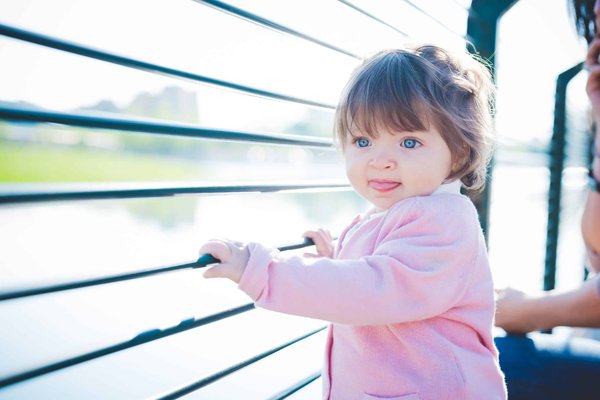 Les garde-corps à câbles en inox : confier le travail à un professionnel