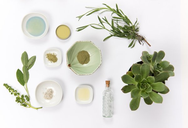 Cosmétiques naturels : la tendance aux produits respectueux de l'environnement